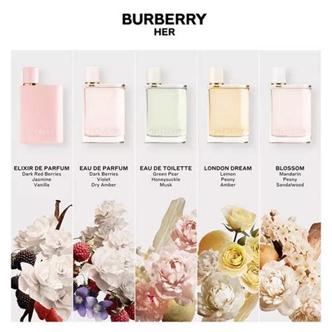 burberry her composition
